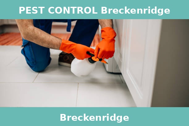 PEST CONTROL Breckenridge